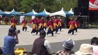 川棚温泉祭り舞龍祭2017 周防紅華連（メイン会場） 朋志