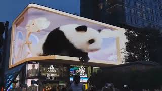 Downtown Chengdu 3D Screen