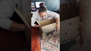 Guy Surprises Wife With A Tiny One-Eyed Kitten | The Dodo