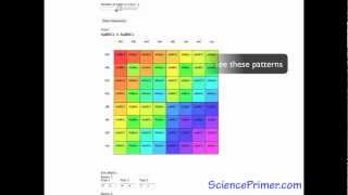 Punnett Square Calculator Overview