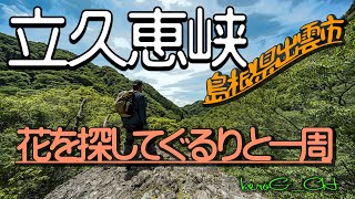 【立久恵峡－島根県出雲市－】花を探してぐるりと一周