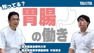 【消化器系について学ぶ】胃や腸、排便について【タニタ健康づくりセミナー】