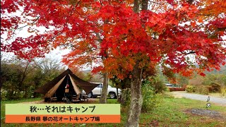 【夫婦と犬キャンプ】　リゾートなキャンプ　買い物とご飯も楽しめるよ〜　長野県　蓼科湖　蓼の花オートキャンプ場