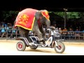 IOI 2011 - The Elephant Show - Riding the Bicycle