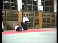 fujimoto yoji shihan embukai merano 1995