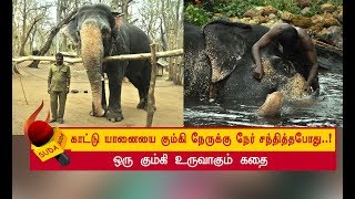 முகாமே அதிரும் அளவுக்கு பிளிறிய யானை ! - ஏன் தெரியுமா ? | அத்தியாயம் 5