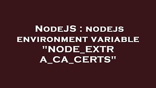 NodeJS : nodejs environment variable "NODE_EXTRA_CA_CERTS"