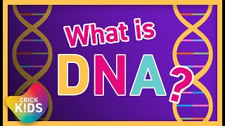 What is DNA? | Science for Kids