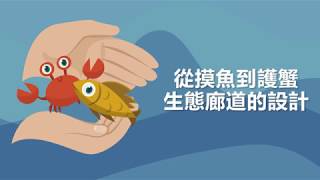 【螃蟹也會疊羅漢？】從摸魚到護蟹--生態廊道的設計