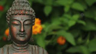 Safe Garden | Healing Flute Meditation