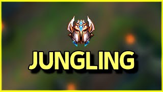 no one 'teaches' what challenger jungling is...so watch this