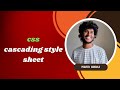 CSS - CASCADING STYLE SHEET | Inline CSS | Internal CSS | External CSS . | Praveen Mandala .