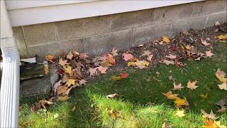 OldGuyDIY Backfill w Dirt Along Foundation Stop Water In Basement After Heavy Rain Overflowed Gutter