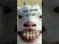 אני פיפי חחחחח