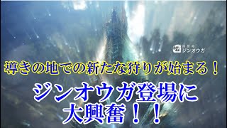 【MHW実況】Re:今更始める狩猟生活　25日目