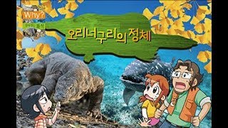 Why? 살아있는화석