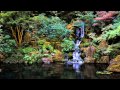 3 HOURS of The Best Relaxing music  | Bamboo Flute | For Meditation, Spa, Healing and  Sleep