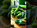 ELI5: How Do Pickles Become Sour?