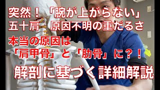 五十肩　原因不明の重だるさ　本当の原因は肩ではなく「肩甲骨」と「肋骨に」？肩の痛みの原因を丁寧に解説　別府整体【姿勢専門サロンゆのまち】