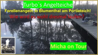 Forellenangeln bei Turbo`s Angelteichen in Blumenthal am Portieteich!