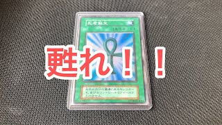 【遊戯王】シングルカード紹介！！死者蘇生！！