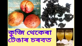 Homemade Summer drink/Assamese fruit juice/Kuji thekera tenga/Garcinia Pedinculataকুজীঁ থেকেৰা চৰবত