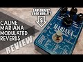 AWESOME Budget PEDAL | Caline CP-507 MARIANA Modulated Reverbs | VIDEO REVIEW [NO TALK]