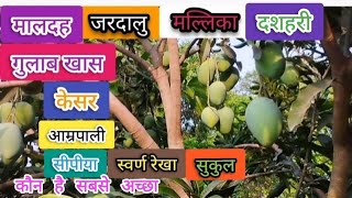 आम का कौन कौन सा किस्म है सबसे अच्छा।।Best mango variety।आम की खेती,बागवानी