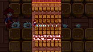 MORE THAN 1 GREENHOUSE | STARDEW VALLEY