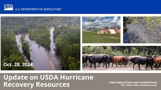 Oct. 28, 2024, Update on USDA Hurricane Recovery Resources