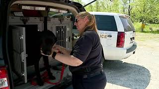 State Fire Marshal utilizing department`s first K-9 arson investigator