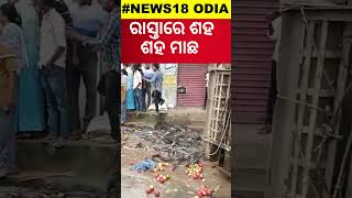 ରାସ୍ତାରେ ଶହ ଶହ ମାଛ| Live fish truck overturned in Magabubad; locals rushed to collect fish #local18