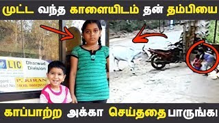 முட்ட வந்த காளையிடம் தன் தம்பியை காப்பாற்ற அக்கா செய்ததை பாருங்க!  | Kollywood News | Tamil Cinema