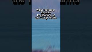 Trump Tariffs Effects: Professor on China, Mexico, Canada Trade War #economy, #trump, #tariff, #jobs