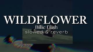 @BillieEilish - WILDFLOWER | LOFI