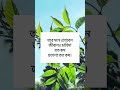 জীবনের চাহিদা কম রাখলে শান্তি থাকা যায় motivation reels motivational shortsvideo