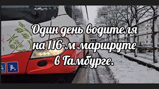 Водитель автобуса 🚍. #busdriver #busfahrer #travel #водительавтобуса #маршрут