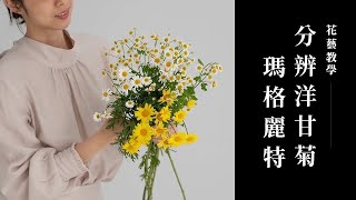 掌握四種方法快速分辨「瑪格麗特，洋甘菊」｜花藝教學｜花裡 FORi Flower