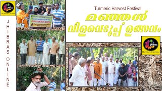 മഞ്ഞൾ വിളവെടുപ്പ് ഉത്സവം / Turmeric Harvest Festival / #Saleem #kattakath / #jhibras Online