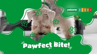 Discover Everything Petzone Has to Offer: Your One-Stop Pet Shop!