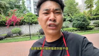 胖猫外卖空包事件，说实话，胖猫是真的可怜