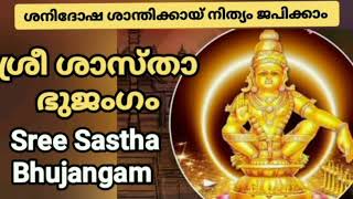 ശനിദോഷ ശാന്തിക്കായ് നിത്യം ജപിക്കാം ശ്രീ ശാസ്താ ഭുജംഗം || Sri sastha bhujangam with lyrics