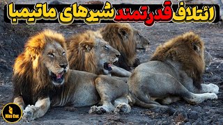 اتحاد شکست ناپذیر ماتیمبا - Matimba Coalition