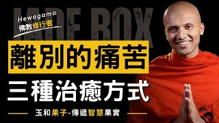 離開的痛苦，三種治癒的方式 ➤ 佛教修行者的教導(中英字幕)／Hewagama赫瓦伽馬