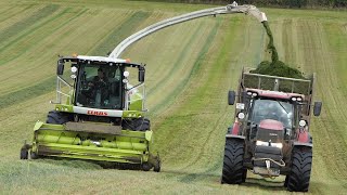 Claas Jaguar 960 in the field chopping grass | Case IH Optum 300 \u0026 Fendt 939 Vario | DK Agriculture