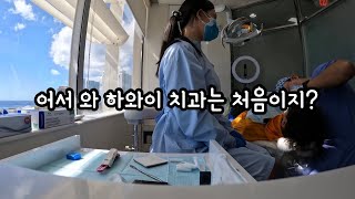 한국 치과위생사 하와이 치과에서 살아남기 | 하와이 브이로그 | 하와이 치과 | 미국 직장인 브이로그