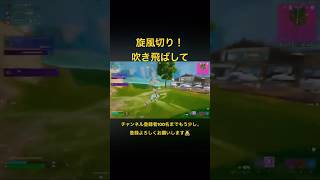 タイフーンブレード旋風切りと落下攻撃コンビネーション最強！【Fortnite/フォートナイト】