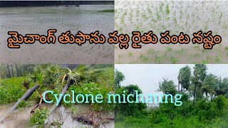 తుఫాను వల్ల #రైతు #పంట #నష్టం cyclone michaung