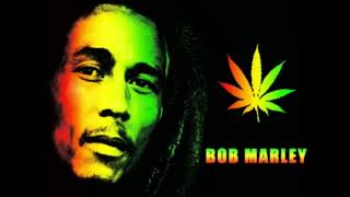 #krishnaDas #bobmarley Bob  Marley Om Namah Shivaya {high quality} Ft. krishna Das (voice ) #skv #vd