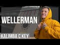 How to play Wellerman (TikTok Sea Shanty) by Nathan Evans on Kalimba (Tutorial)